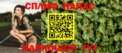 прущие грибы Пушкино