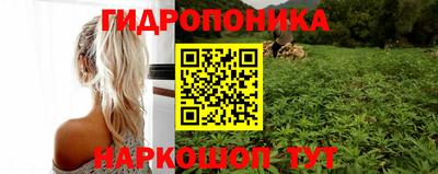 прущие грибы Пушкино