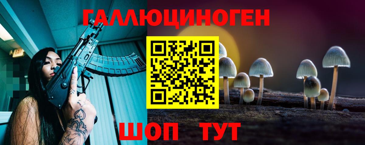Псилоцибиновые грибы Psilocybine cubensis Алейск