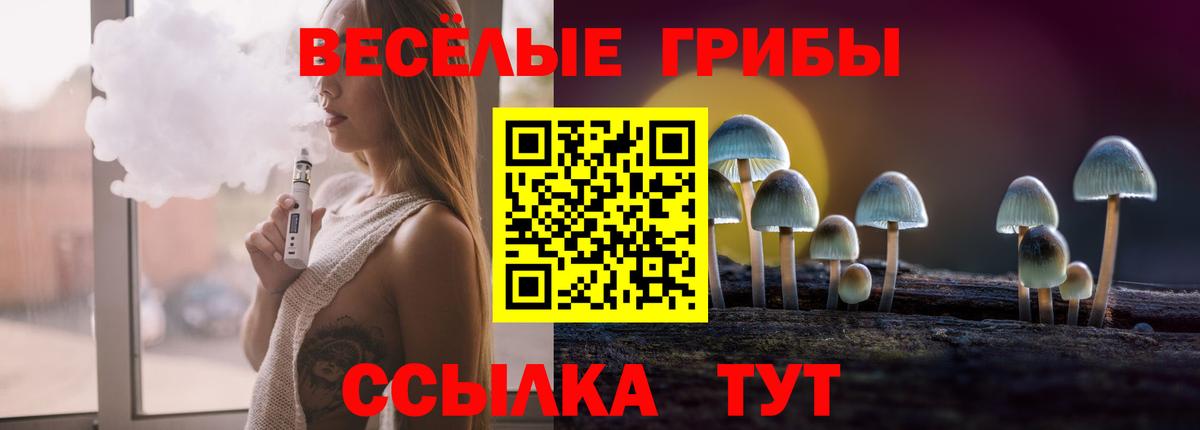 Галлюциногенные грибы Psilocybine cubensis  Вход с VPN  Псилоцибиновые грибы Psilocybine cubensis  Алейск 