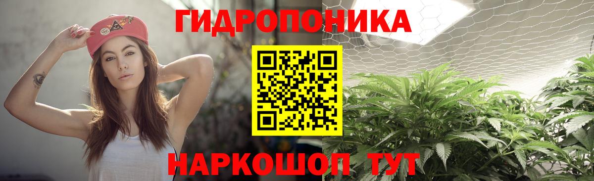 Алейск  Каннабис гибрид  Вход с VPN  МАРИХУАНА сатива  Каннабис план 